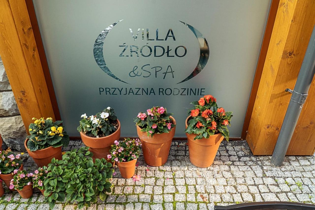 Villa Zrodlo & Spa กรินีซา ดรอยจ์ ภายนอก รูปภาพ